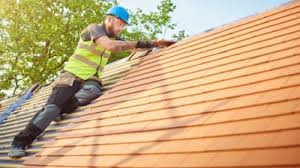 Best Storm Damage Roof Repair  in Argentine, MI
