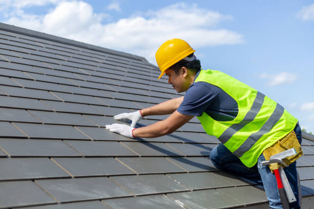 Best Roof Maintenance and Cleaning  in Argentine, MI