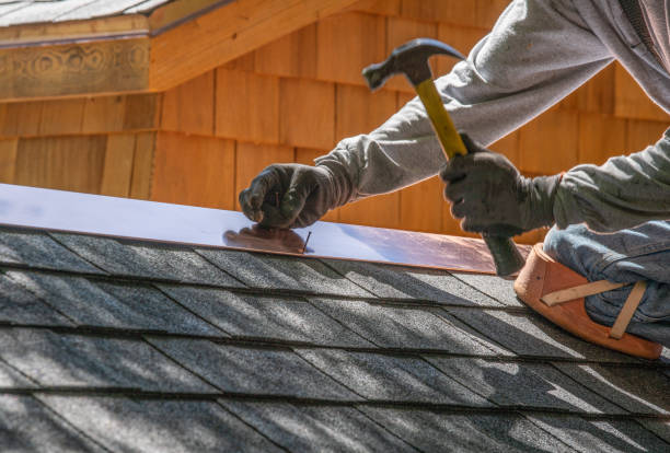 Best Storm Damage Roof Repair  in Argentine, MI