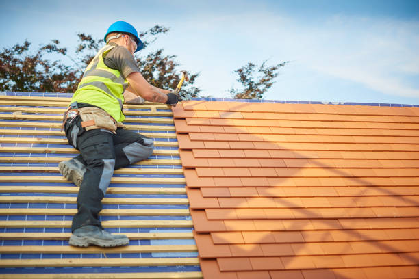 Best Asphalt Shingle Roofing  in Argentine, MI
